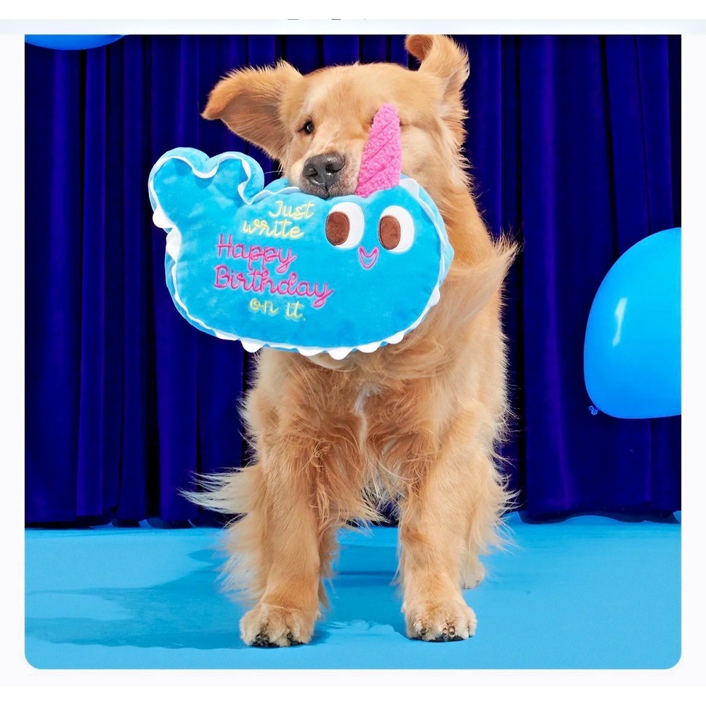 PUDGY the XL HAPPY BIRTHDAY NARWAL CAKE  3 SQUEAKERS and CRAZY CRINKLE DOG TOY